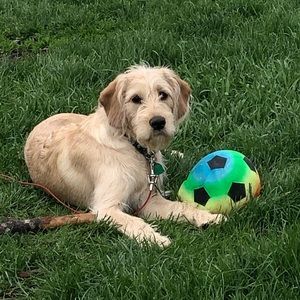 Meet your Posher, Brianna